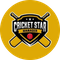 Cricket Star Manager